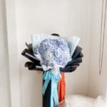 10 Stems Hydra HUMAN SIZE