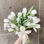 20 Classic Tulip & BB