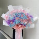 20 Baby's Breath Rainbow
