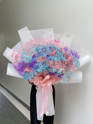 20 Baby's Breath Rainbow