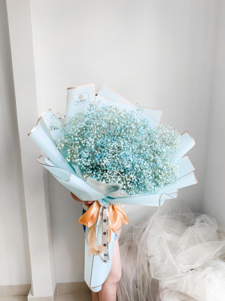 20 Baby's Breath Blue