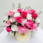 20cm Mix Fuchsia Box