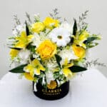20cm Mix Yellow Box