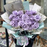 20 Rose Purple