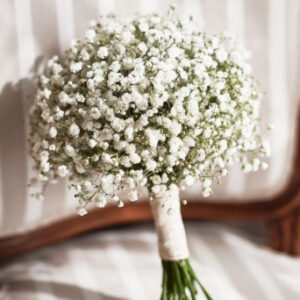 Classic Baby's Breath