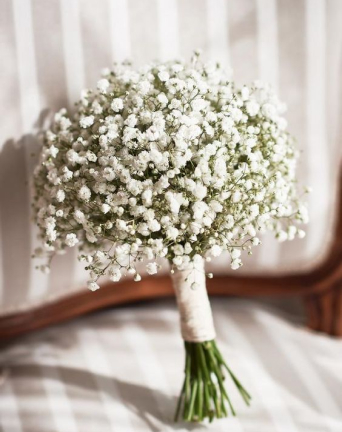 Classic Baby's Breath