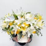 Giant Lily Yellow 20cm