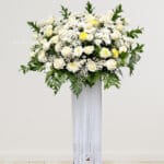 Heavenly White Standing