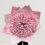 Lotus 100 Lembar (100K)