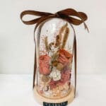 Private Class - Medium Glass Dome