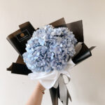 Blue Hydra (3 Stems)