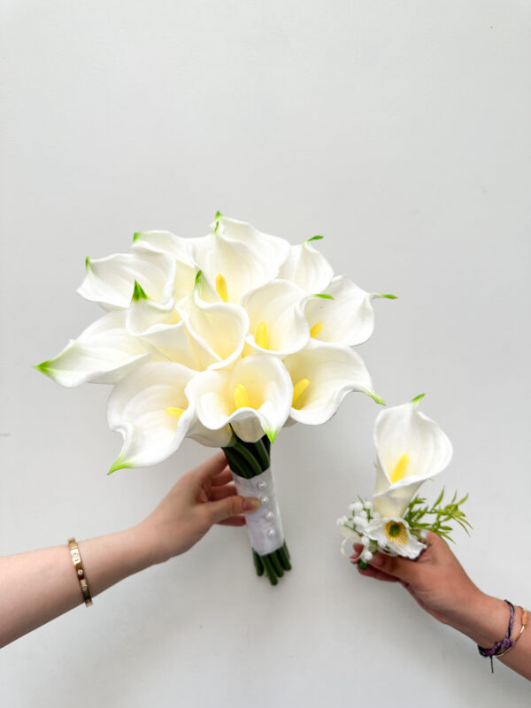 20 Classic Calla Lily