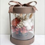 Celine Box Earth Tone