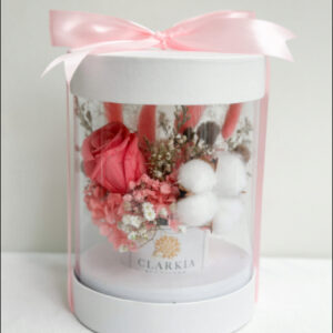 Celine Box Fuschia