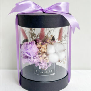 Celine Box Lilac