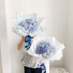 Medium Blue Hydra (3 stems)