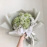 Medium Green Hydra (3 stems)