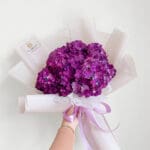 Medium Purple Hydra (3 stems)