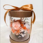 Celine Box Peach Gold