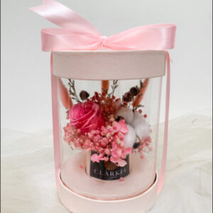 Celine Box Pinky