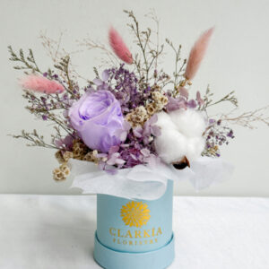 Everly Box Unicorn