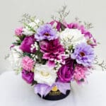 15cm Mix Purple Box