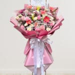 Blushing Calla Lily Standing