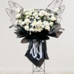 Butterfly Black White Standing