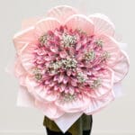 Lotus 100 Lembar (100K) Flowerception